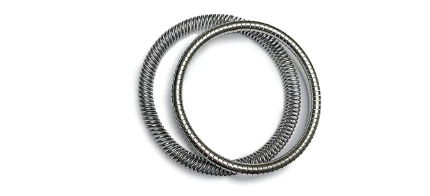 Helical Springs-spring energized seals