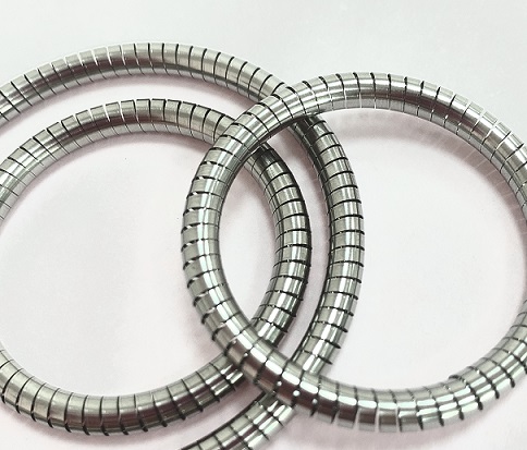 Helical Spring-spring energized seals