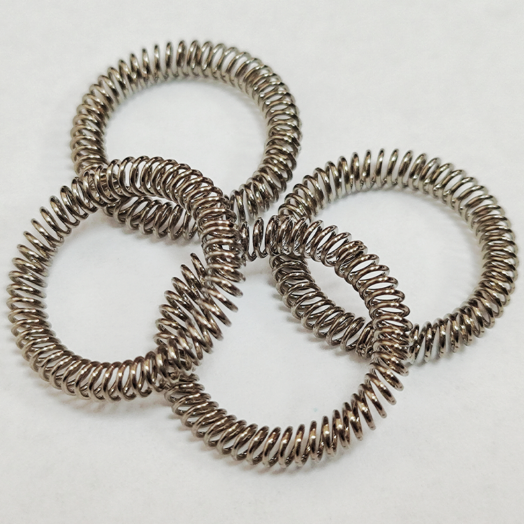 Canted Coil Springs-spring energized seals