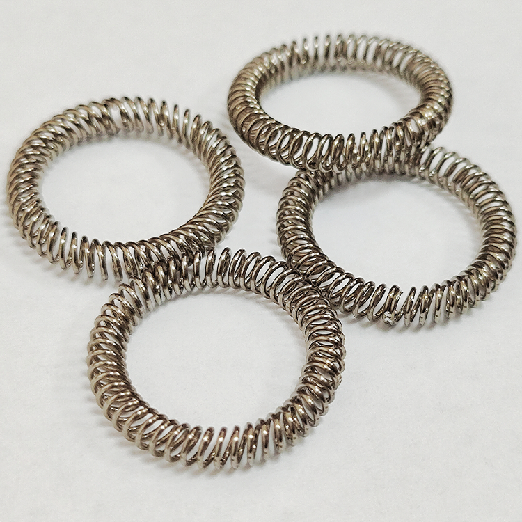 Canted Coil Springs-spring energized seals