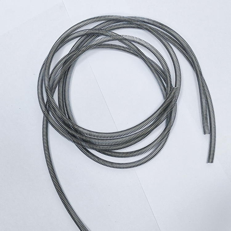 Canted coil spring-spring energized seal