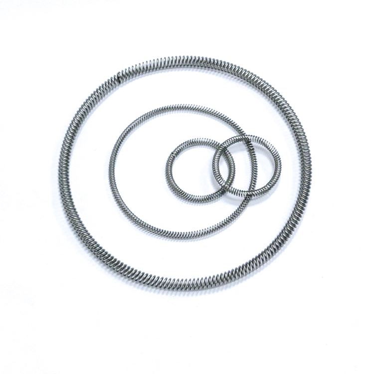 canted coil spring-spring energized seal