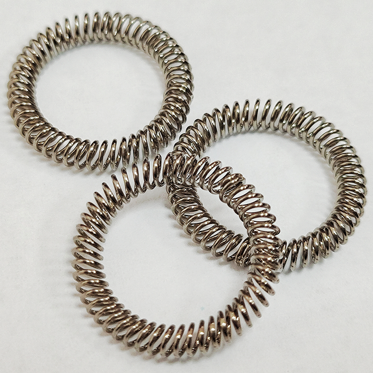 Canted coil spring, contact finger spring, ring spring-spring energized seals