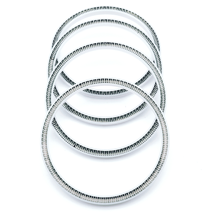 pan plug seal spring-spring energized seal