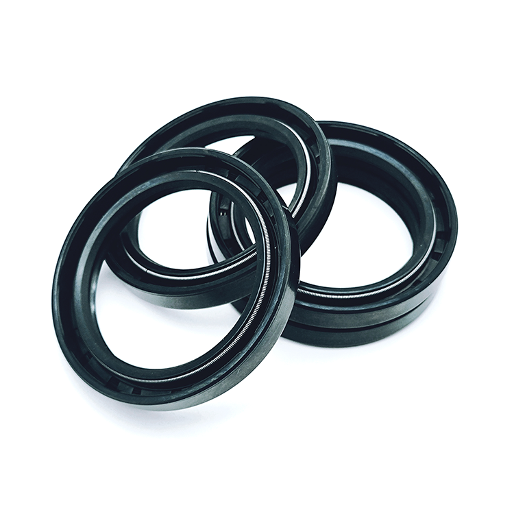 spring energized seals-sealing springs-Zhuoyue Spring