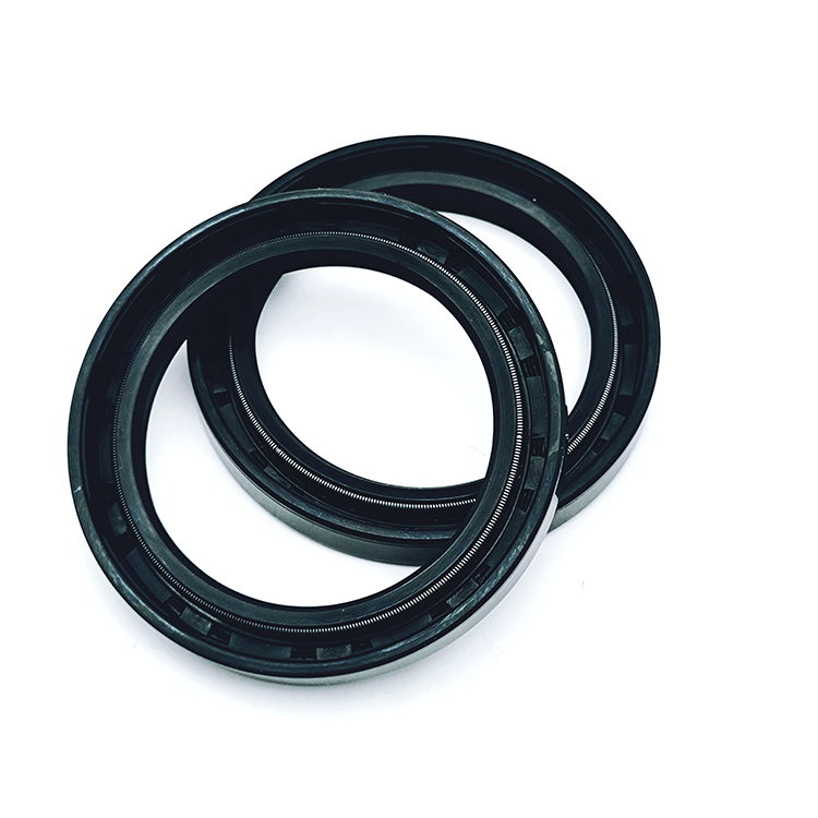 Polymer-Based Seal Jacket-Spring energized seals