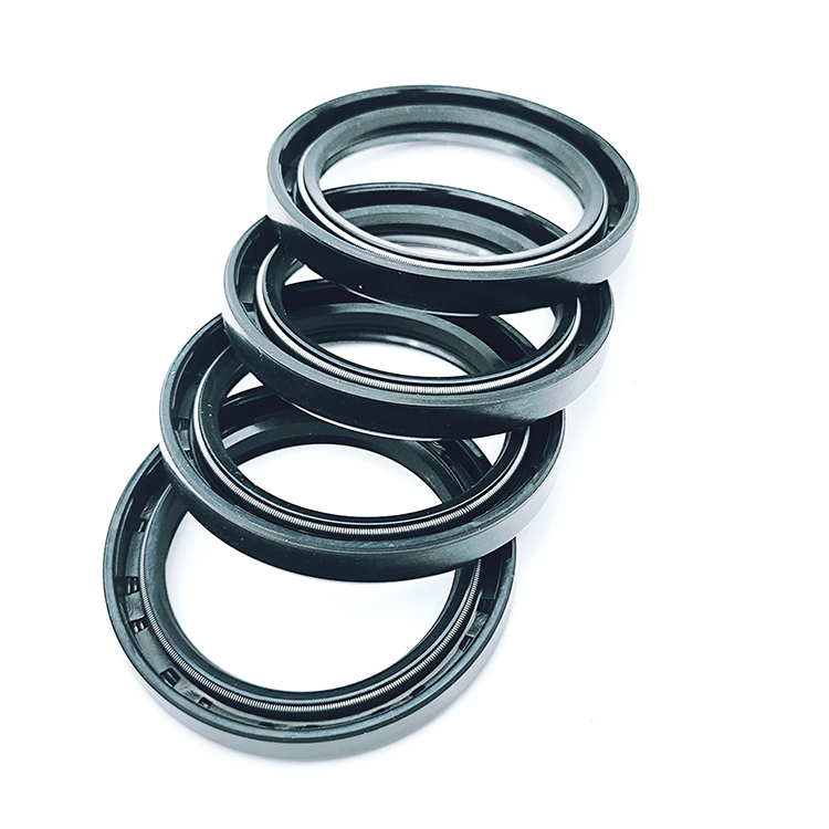 6 specific examples of aggressive media that spring energized seals can withstand