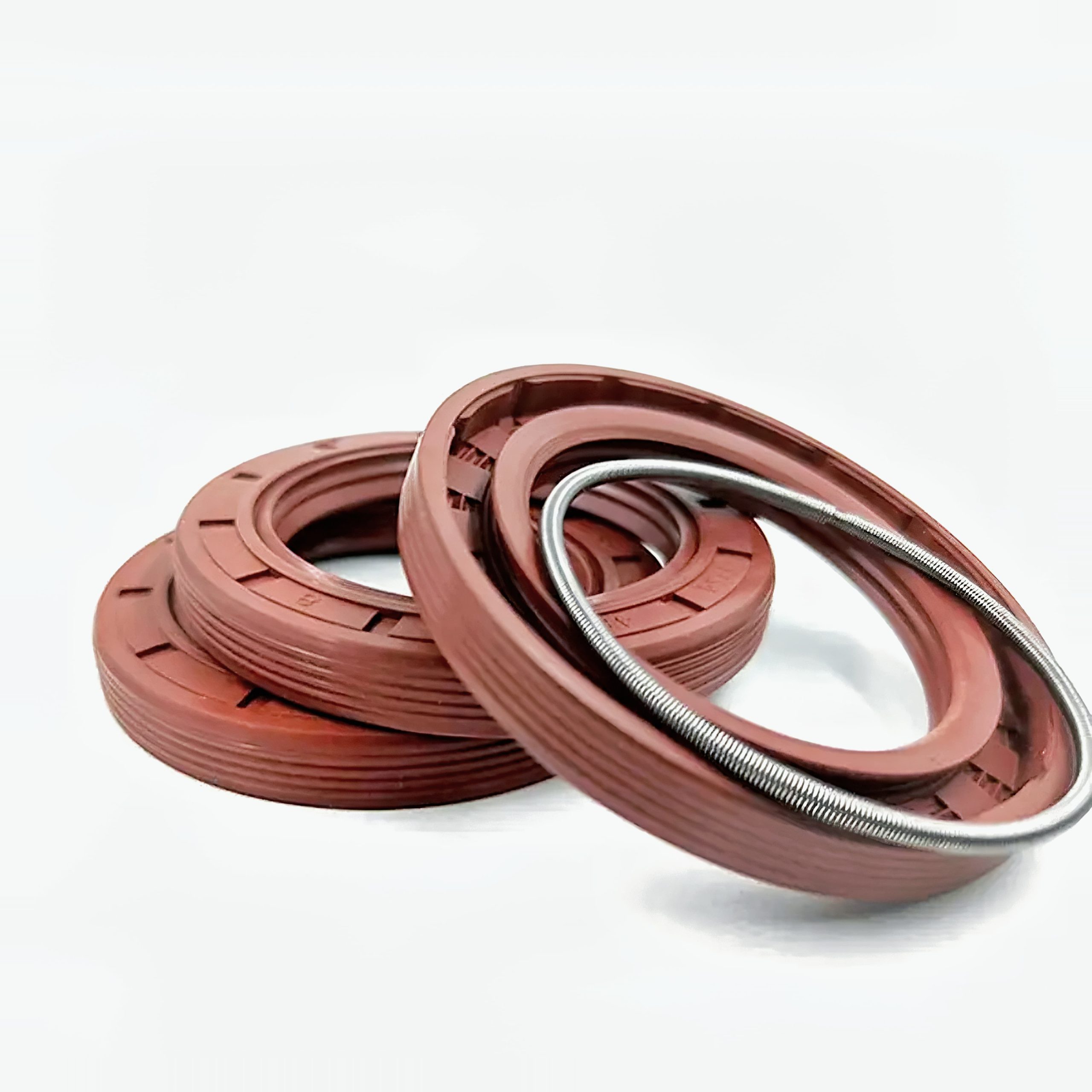 oil seal springs-spring energized seals-sealing springs-Zhuoyue Spring