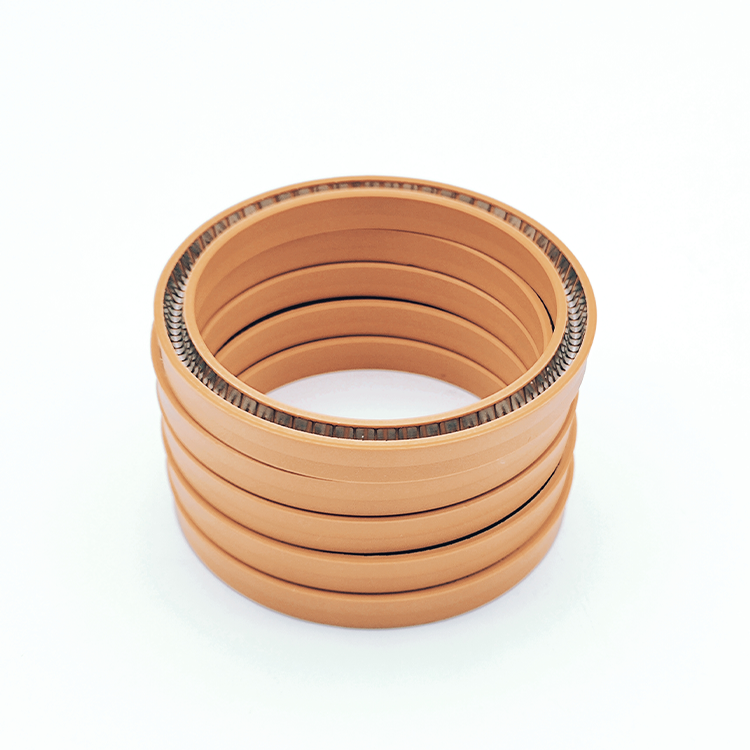 PTFE Seals-spring energized seals